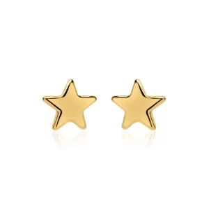 Minimalist Yıldız Küpe