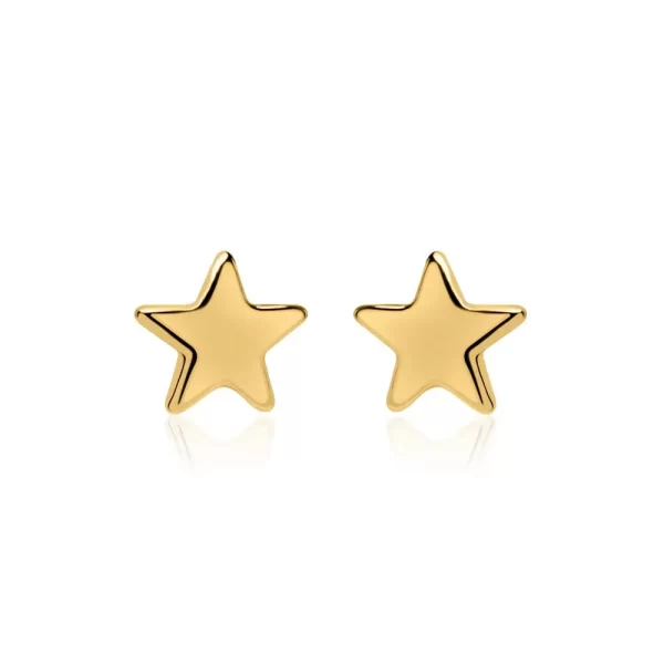Minimalist Yıldız Küpe